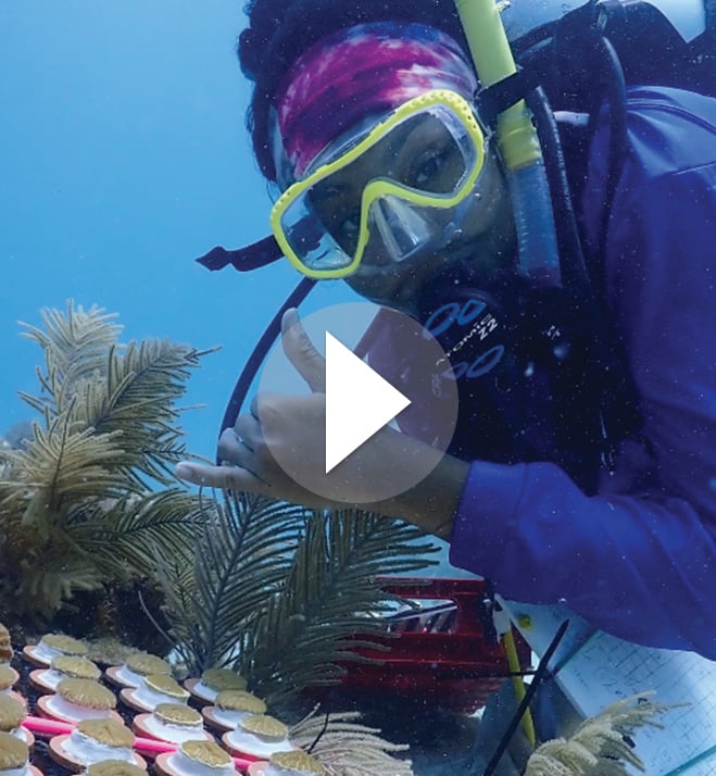 Alexandra Zelaya conducting research underwater in scuba gear