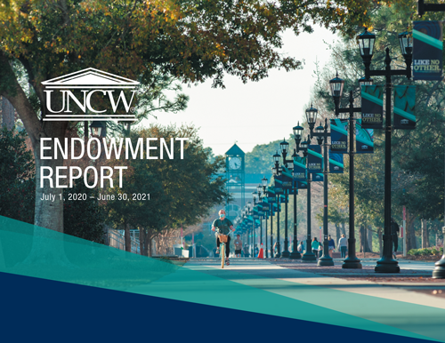 Endowment Report 2016-2017