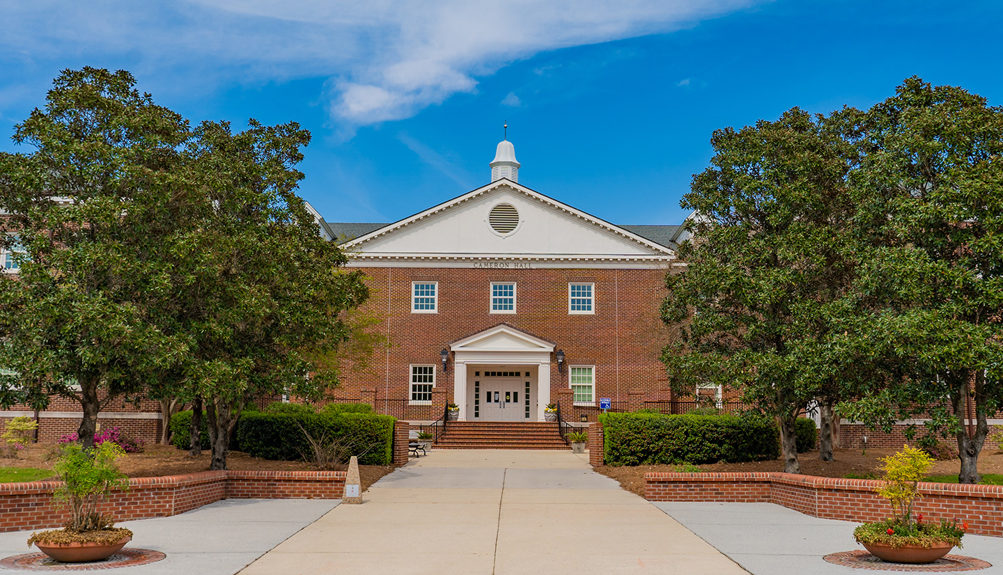 UNCW Cameron School of Business Faculty Fellowships - University of ...