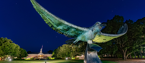 Seahawk statue on UNCW campus