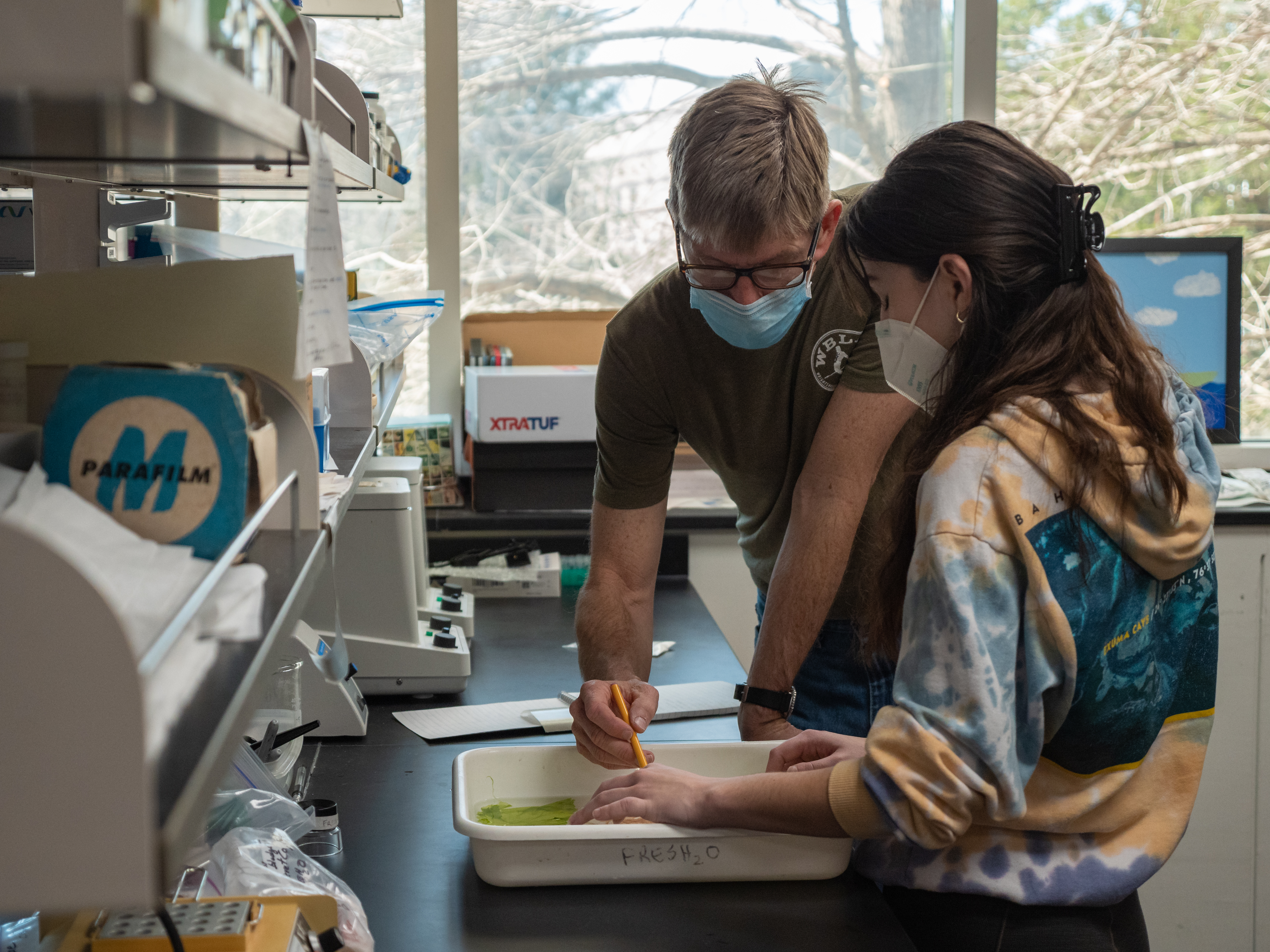 Dr. Freshwater working with an undergraduate student in the lab
