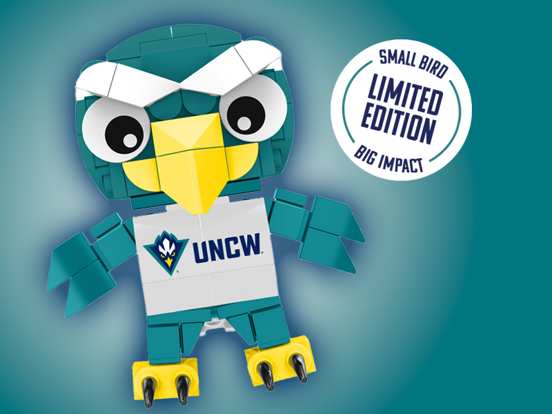 Sammy C. Hawk Building Blocks