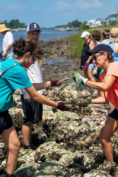 Students and community members moving bags of oyster shells
