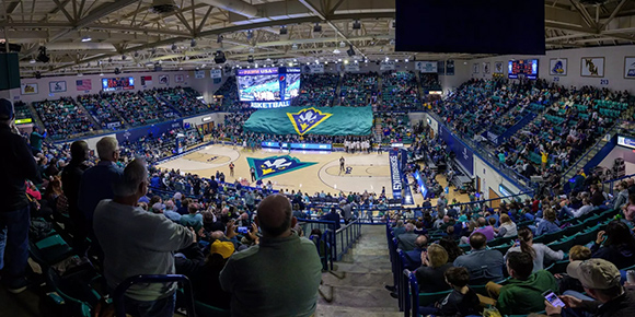 Seahawk Basketball